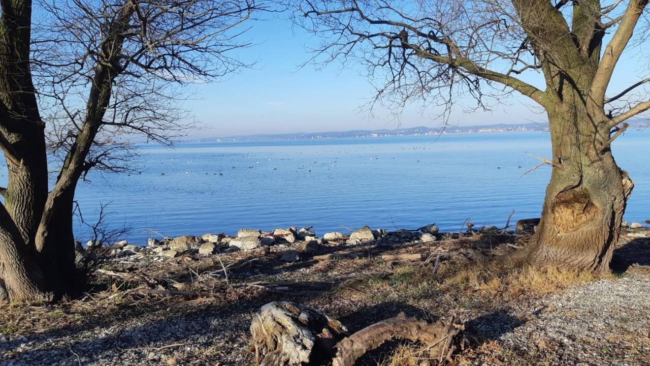 Hotel Am See Hard Zewnętrze zdjęcie